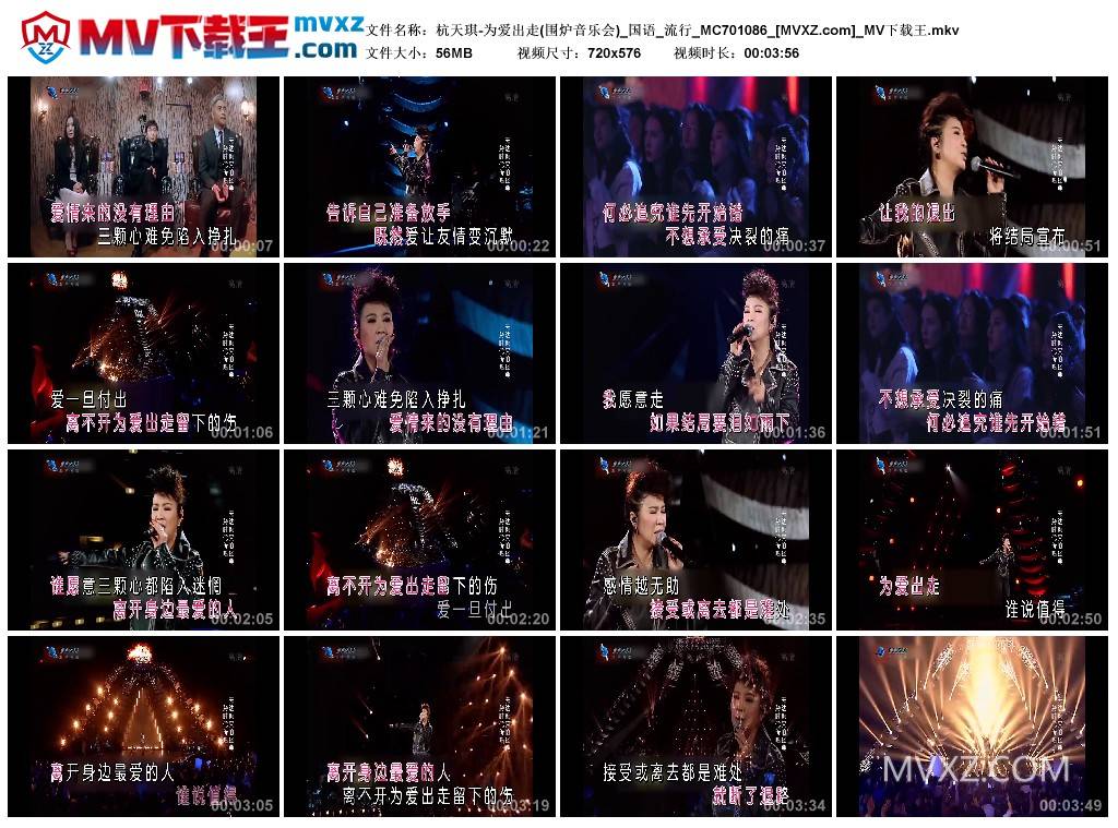 杭天琪-为爱出走(围炉音乐会)_国语_流行_MC701086